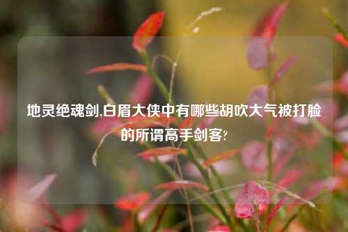 地灵绝魂剑,白眉大侠中有哪些胡吹大气被打脸的所谓高手剑客?