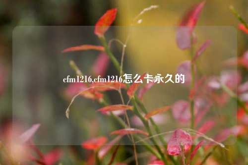 cfm1216,cfm1216怎么卡永久的