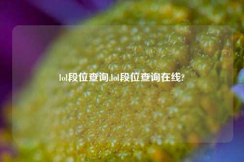 lol段位查询,lol段位查询在线?