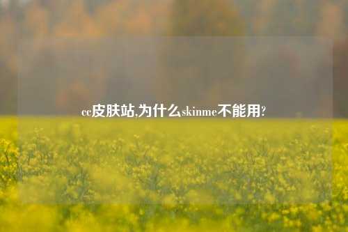 cc皮肤站,为什么skinme不能用?