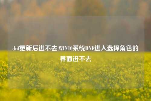 dnf更新后进不去,WIN10系统DNF进入选择角色的界面进不去