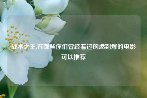 战术之王,有哪些你们曾经看过的燃到爆的电影可以推荐