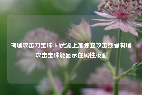 物理攻击力宝珠,dnf武器上加独立攻击或者物理攻击宝珠能显示在属性版面