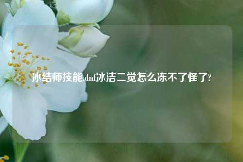冰结师技能,dnf冰洁二觉怎么冻不了怪了?