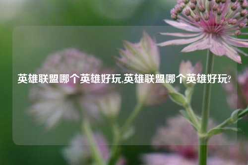 英雄联盟哪个英雄好玩,英雄联盟哪个英雄好玩?