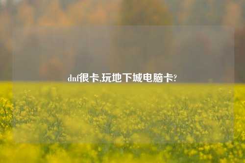 dnf很卡,玩地下城电脑卡?