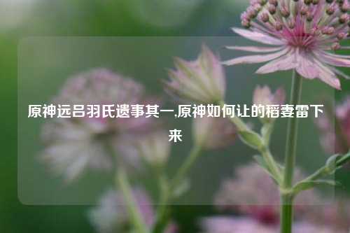 原神远吕羽氏遗事其一,原神如何让的稻妻雷下来