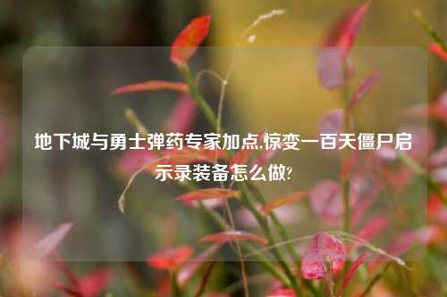 地下城与勇士弹药专家加点,惊变一百天僵尸启示录装备怎么做?