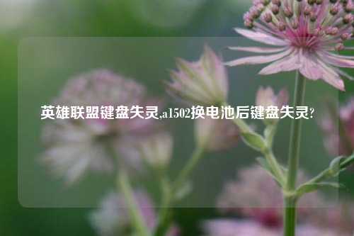 英雄联盟键盘失灵,a1502换电池后键盘失灵?