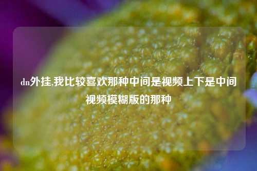 dn外挂,我比较喜欢那种中间是视频上下是中间视频模糊版的那种
