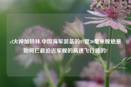 cf火神加特林,中国海军装备的11管30毫米舰炮是如何拦截迫近军舰的高速飞行器的?