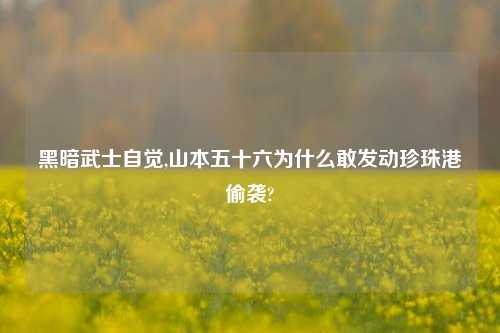 黑暗武士自觉,山本五十六为什么敢发动珍珠港偷袭?