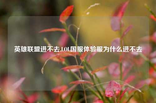 英雄联盟进不去,LOL国服体验服为什么进不去