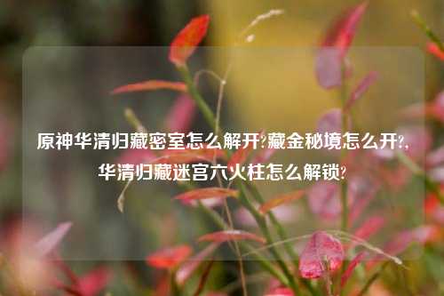 原神华清归藏密室怎么解开?藏金秘境怎么开?,华清归藏迷宫六火柱怎么解锁?