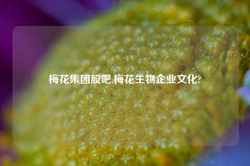 梅花集团股吧,梅花生物企业文化?