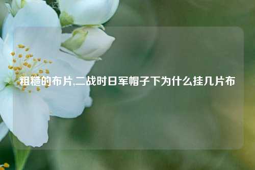 粗糙的布片,二战时日军帽子下为什么挂几片布