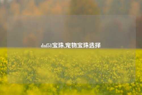 dnf51宝珠,宠物宝珠选择
