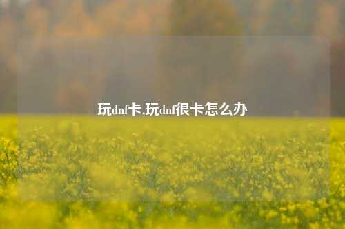 玩dnf卡,玩dnf很卡怎么办
