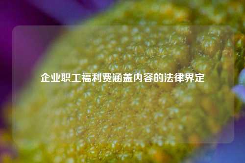 企业职工福利费涵盖内容的法律界定