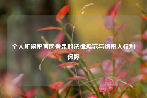 个人所得税官网登录的法律规范与纳税人权利保障
