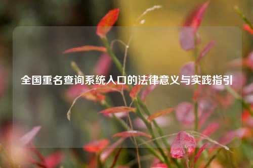 全国重名查询系统入口的法律意义与实践指引
