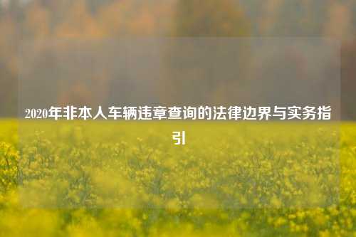 2020年非本人车辆违章查询的法律边界与实务指引
