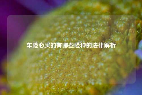 车险必买的有哪些险种的法律解析