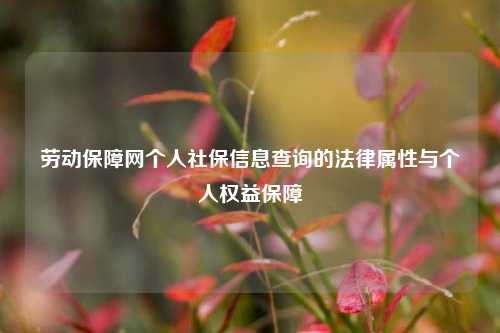 劳动保障网个人社保信息查询的法律属性与个人权益保障