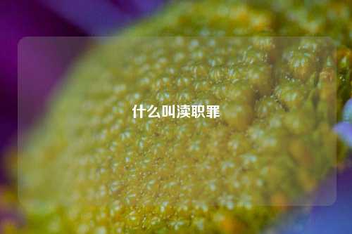 什么叫渎职罪