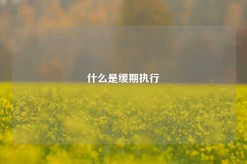 什么是缓期执行