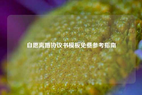 自愿离婚协议书模板免费参考指南