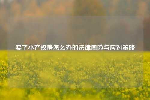 买了小产权房怎么办的法律风险与应对策略
