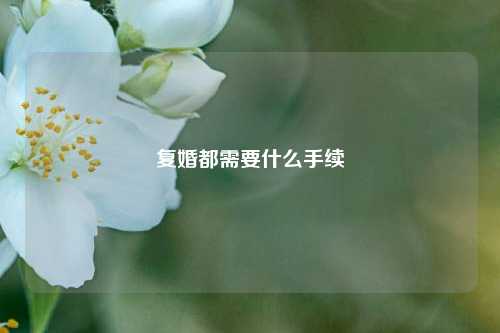 复婚都需要什么手续