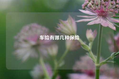 车险有哪几种保险