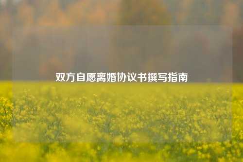 双方自愿离婚协议书撰写指南