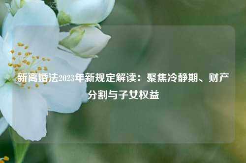 新离婚法2023年新规定解读：聚焦冷静期、财产分割与子女权益