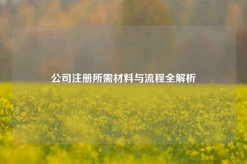 公司注册所需材料与流程全解析