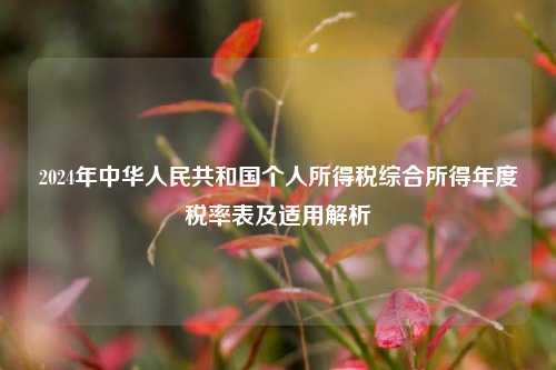 2024年中华人民共和国个人所得税综合所得年度税率表及适用解析