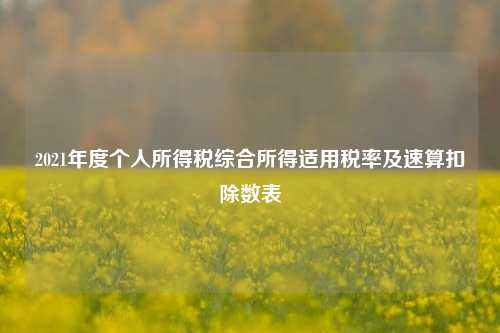 2021年度个人所得税综合所得适用税率及速算扣除数表