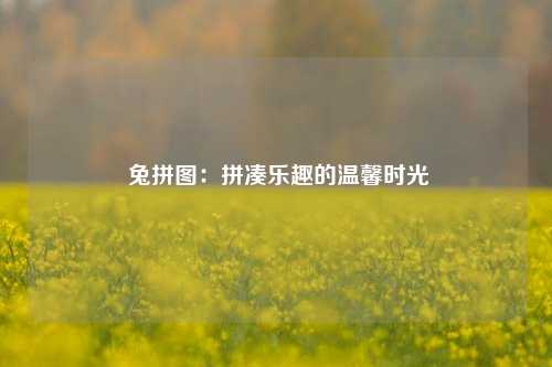  兔拼图：拼凑乐趣的温馨时光