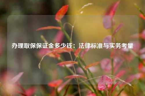 办理取保保证金多少钱：法律标准与实务考量