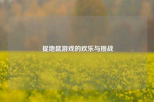 捉地鼠游戏的欢乐与挑战