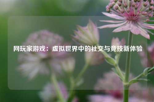  网玩家游戏：虚拟世界中的社交与竞技新体验
