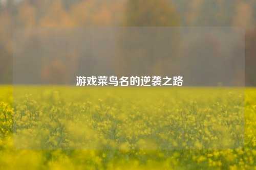  游戏菜鸟名的逆袭之路
