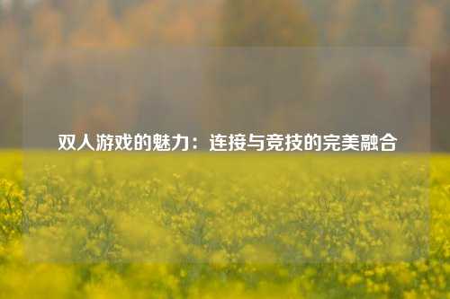  双人游戏的魅力：连接与竞技的完美融合