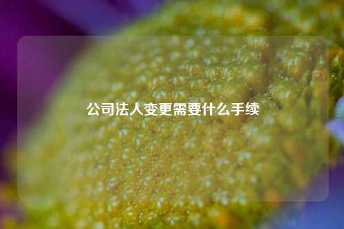 公司法人变更需要什么手续