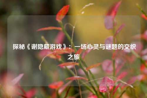  探秘《谢隐藏游戏》：一场心灵与谜题的交织之旅