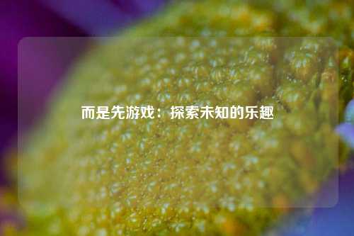 而是先游戏：探索未知的乐趣