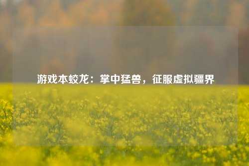  游戏本蛟龙：掌中猛兽，征服虚拟疆界