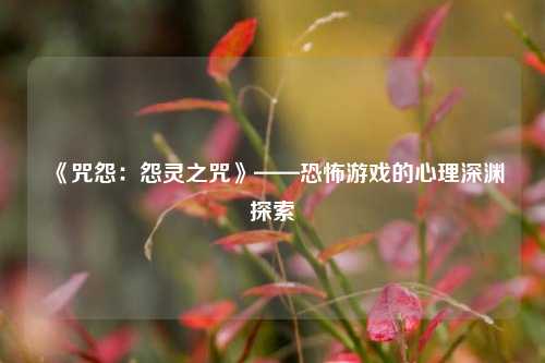 《咒怨：怨灵之咒》——恐怖游戏的心理深渊探索